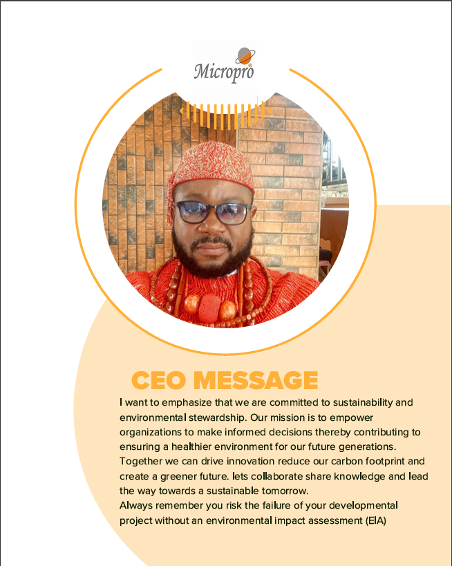CEO MESSAGE
